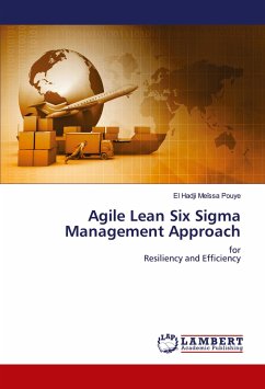 Agile Lean Six Sigma Management Approach
