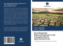 Cover Grundlegendes Risikomanagement in der indexgebundenen Agrarversicherung