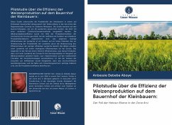 Pilotstudie über die Effizienz der Weizenproduktion auf dem Bauernhof der Kleinbauern: - Debebe Aboye, Anbessie