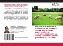 Evaluación del bienestar animal de cerdos en crecimiento en convenios porcinos y su efecto en los indicadores productivos y de salud - Beruvides Rodríguez, Agustín;Hernández Luis, Maykel