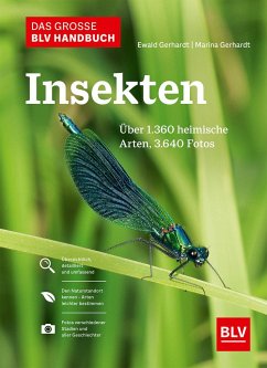 Das große BLV Handbuch Insekten - Gerhardt, Ewald;Gerhardt, Marina