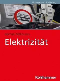 Elektrizität - Melioumis, Michael;Ziebold, Christian