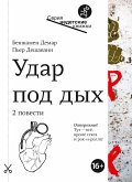 Удар под дых (eBook, ePUB)