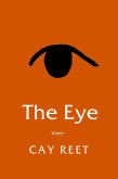 The Eye Vol. 1 (eBook, ePUB)