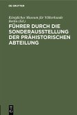 Führer durch die Sonderausstellung der prähistorischen Abteilung (eBook, PDF)
