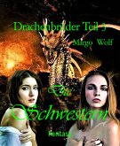 Drachenbrüder Teil 3 (eBook, ePUB)