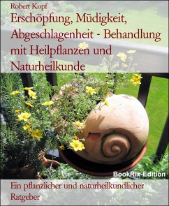 Erschöpfung, Müdigkeit, Abgeschlagenheit - Behandlung mit Heilpflanzen und Naturheilkunde (eBook, ePUB) - Kopf, Robert