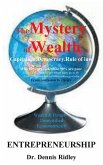 The Mystery of Wealth (eBook, PDF)