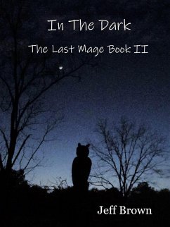 In The Dark: The Last Mage Book II (eBook, ePUB) - Brown, Jeff