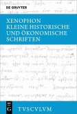 Kleine historische und ökonomische Schriften (eBook, PDF)