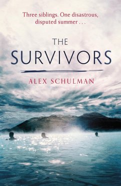 The Survivors (eBook, ePUB) - Schulman, Alex
