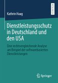 Dienstleistungsschutz in Deutschland und den USA (eBook, PDF)
