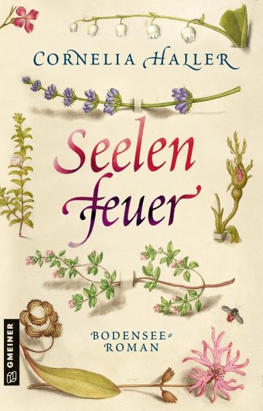 Seelenfeuer (eBook, PDF)