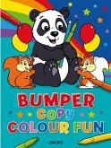 Bumper Copy Colour Fun Bumper Copy Colour Fun