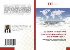 La portée juridique du principe de précaution en droit international - Niemba, Arnold