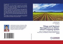 Tillage and Nutrient Management on Maize-wheat Cropping System