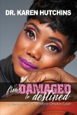 From Damaged to Destined (eBook, ePUB)