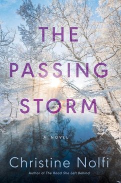 The Passing Storm - Nolfi, Christine