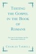 Testing the Gospel in the Book of Romans - Bild 1