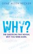 Why? - Bild 1