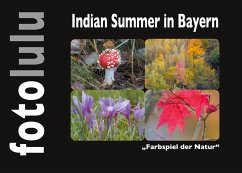 Indian Summer in Bayern (eBook, ePUB)