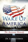 Wake Up America - or Die!: YOU Must Save America & the Family The Awesome Remedy