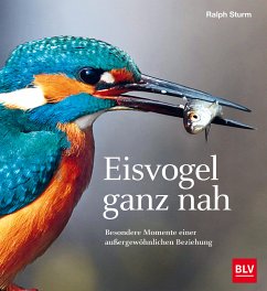 Eisvogel ganz nah (eBook, ePUB) - Sturm, Ralph