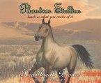 Phantom Stallion, 13: Heartbreak Bronco
