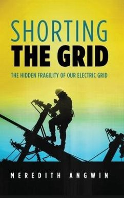 Shorting the Grid - Angwin, Meredith