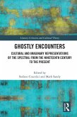 Ghostly Encounters (eBook, PDF)