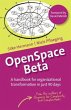 OpenSpace Beta (eBook, ePUB) - Bild 1