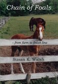 Chain of Foals: from farm to finish line