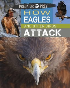 Predator Vs Prey: How Eagles and Other Birds Attack! - Harris, Tim