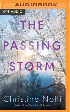 The Passing Storm - Nolfi, Christine
