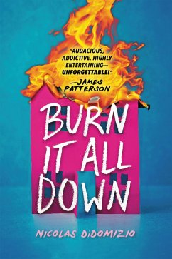 Burn It All Down - Didomizio, Nicolas