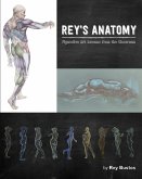 Rey's Anatomy