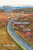 Striving Struggle of a Juvenile &quote;Growing Grown&quote; in a System