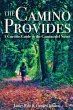 The Camino Provides - Bild 1