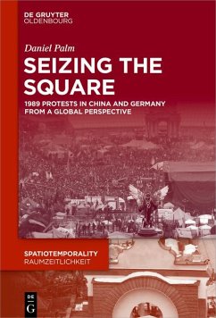 Seizing the Square (eBook, PDF) - Palm, Daniel