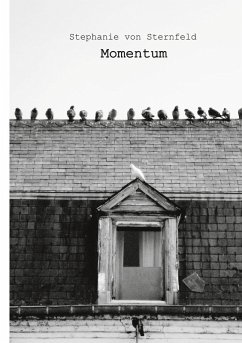 Momentum (eBook, ePUB) - Sternfeld, Stephanie von