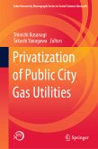 Privatization of Public City Gas Utilities (eBook, PDF)