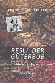 Resli, der Güterbub (eBook, ePUB)