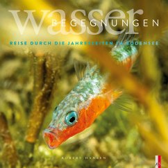 Wasser Begegnungen - Hansen, Robert