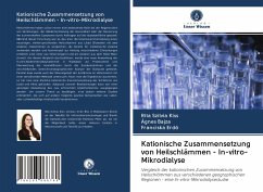 Kationische Zusammensetzung von Heilschlämmen - In-vitro-Mikrodialyse - Kiss, Rita Szilvia;Bajza, Ágnes;Erdö, Franciska