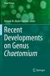Recent Developments on Genus Chaetomium - Bild 1