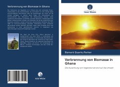 Verbrennung von Biomasse in Ghana - Parker, Bismark Quarku