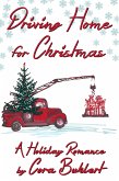 Driving Home for Christmas (eBook, ePUB)