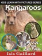 Kangaroos Photos and Fun Facts for Kids... - Bild 1