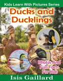 Ducks and Ducklings: Photos and Fun Facts for Kids (fixed-layout eBook, ePUB)