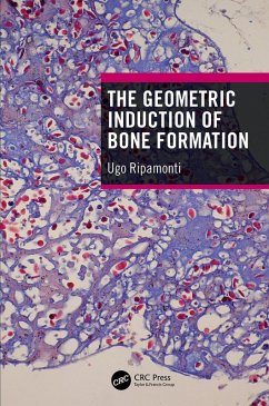 The Geometric Induction of Bone Formation (eBook, ePUB) - Ripamonti, Ugo